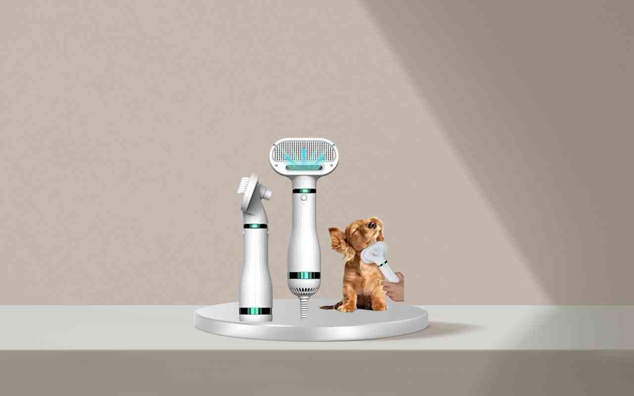 Addestra il tuo cane e gatto senza stress con Nice Pet: scopri come funziona